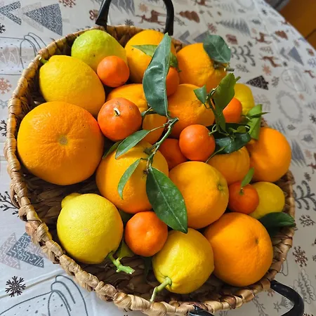 Appartement Therese Cefalù