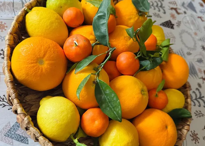 Appartement Thérèse Cefalù